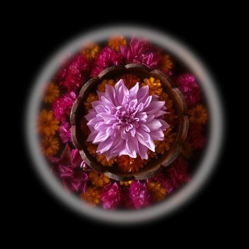Intuition ~ blog by God Dieux ~ Puja Flower by God Dieux Photography