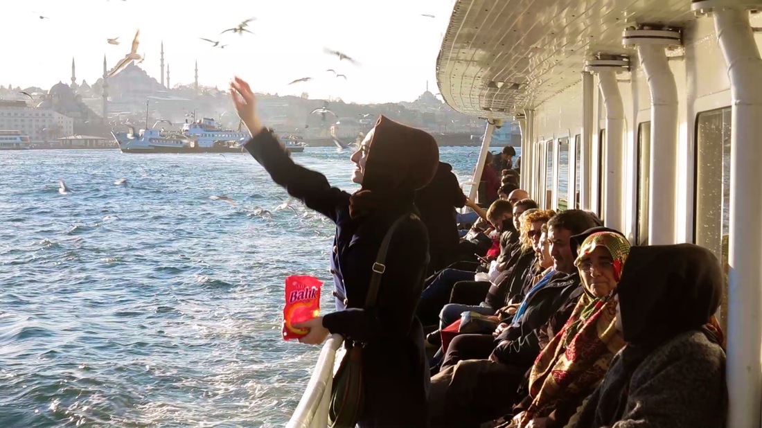 Woman Feeding Birds in Istanbul ~ God Dieux Photography