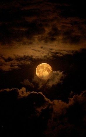 Full Moon in the night sky 