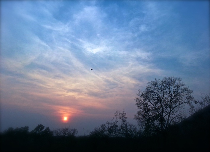 Arunchala, Tiruvanamalai, India ~ God Dieux Photography ~ Sunset in Arunchala